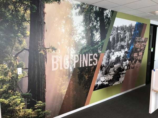Commercial 3D Wall Murals Custom Made by VizComm Signs & Graphics